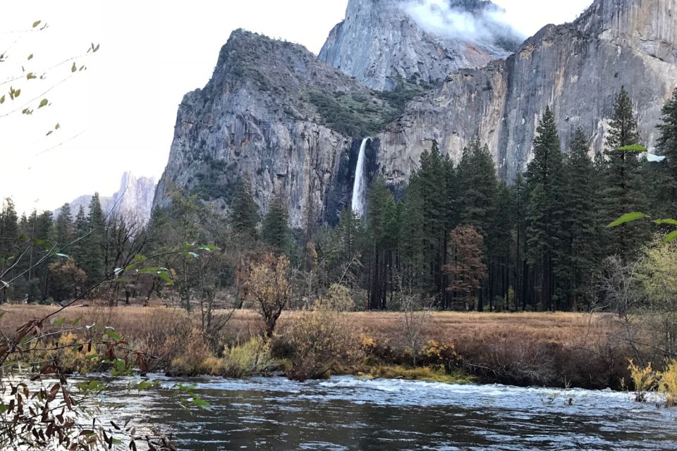 From SF: Yosemite Day Trip With Giant Sequoias Hike & Pickup - Tour Experience