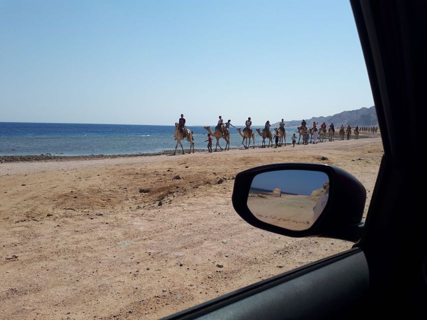 From Sharm El Sheikh: Full Day in Dahab With Snorkeling - Duration and Availability Information