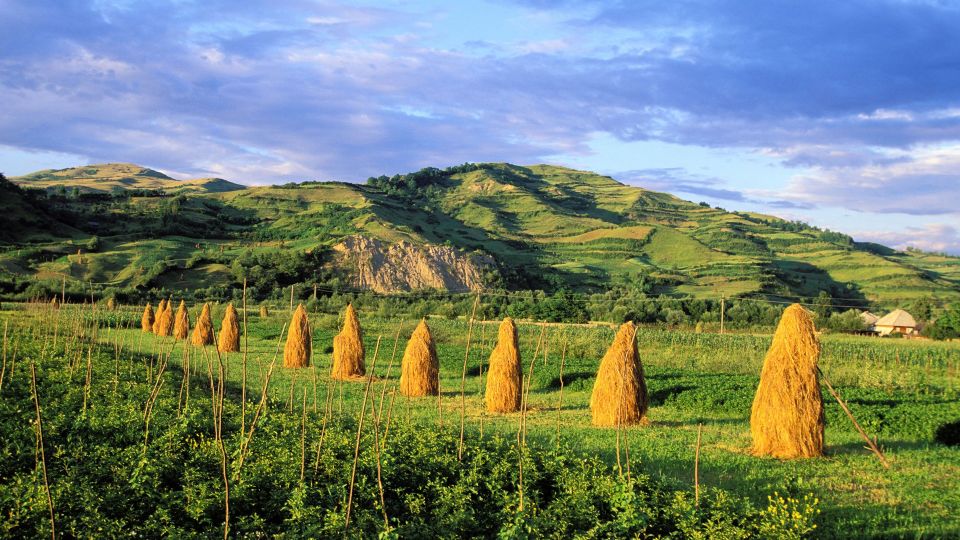 From Sighetu Marmatiei: Maramures and Barsana Monastery Tour - Tour Experience