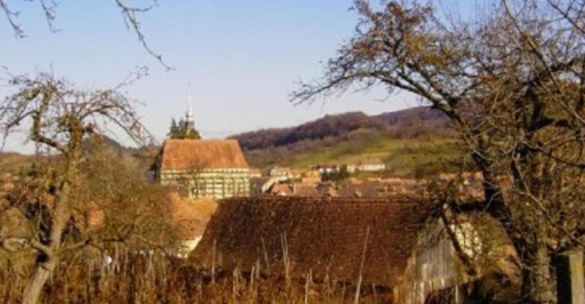 From Sighisoara: Half-Day Tour to Malancrav & Biertan - Experience Highlights