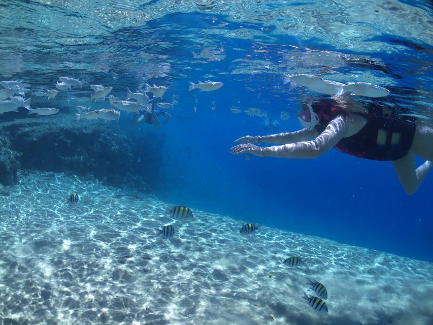 From Soma Bay and Makadi: Sharm El Naga Snorkeling Trip - Review Ratings