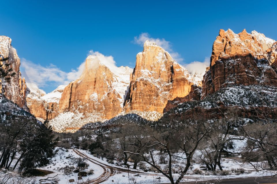 From Springdale: 4-hour Zion Canyon Scenic Hiking Tour - Live English-Speaking Tour Guide