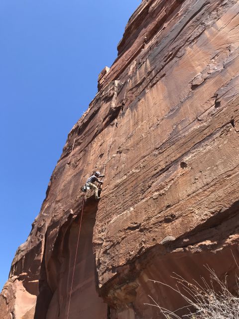 From Springdale: Half-Day Rock Climbing Experience - Safety and Skills