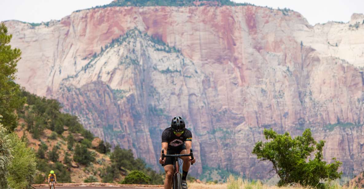 From Springdale: Zion National Park Bike Tour - Experience Highlights