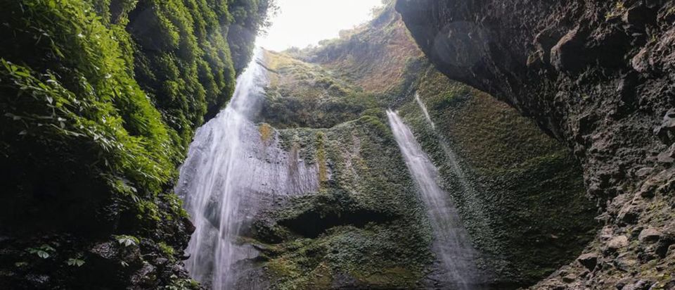 From Surabaya/ Malang :Bromo Sunrise and Waterfall - Highlights
