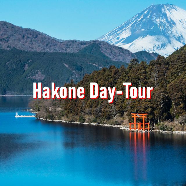 From Tokyo: 10-hour Hakone Private Custom Tour - Tour Experience