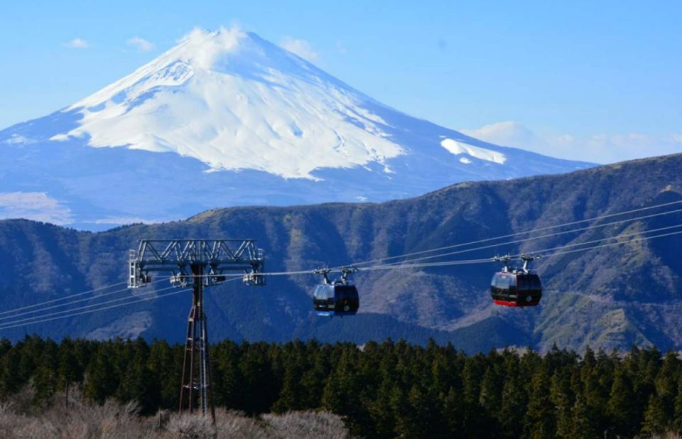 From Tokyo: 10-hour Hakone Private Custom Tour - Pickup and Customization Options