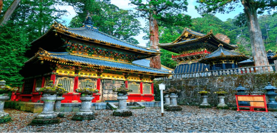 From Tokyo: 10-hour Private Custom Tour to Nikko - Experience Highlights and Benefits