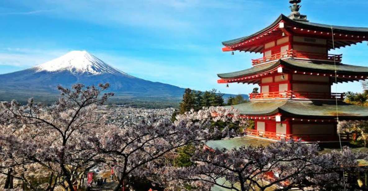 From Tokyo: Customizable Mount Fuji Full-Day Private Tour - Tour Highlights and Itinerary