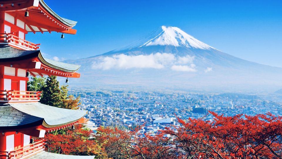 From Tokyo: Mount Fuji and Hakone Private Day Trip - Booking and Payment Options