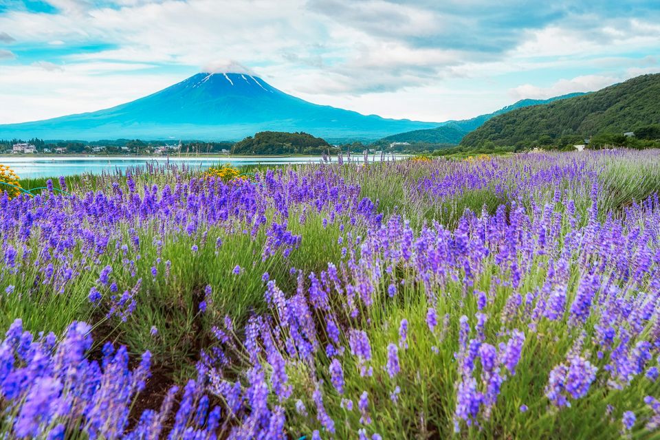 From Tokyo: Mt. Fuji Full-Day Sightseeing Trip - Activity Highlights
