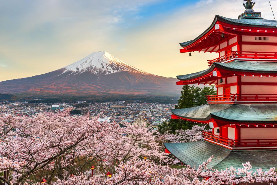 From Tokyo: Mt. Fuji or Hakone Private Sightseeing Day Trip - Itinerary A Highlights