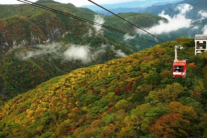From Tokyo: Nikko Private 1-Day Sightseeing Trip With Guide - Inclusions and Exclusions