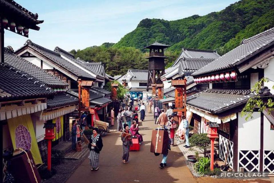 From Tokyo:Nikko Full Day Tour W/Hotel Pickup by Private Car - Tour Experience