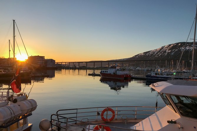 From Tromso All- Inclusive Midnight Sun Cruise by Boat - Reviews