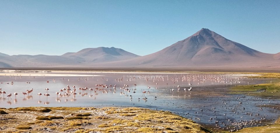 From Uyuni: Private Day Trip Laguna Colorada. - Experience Highlights