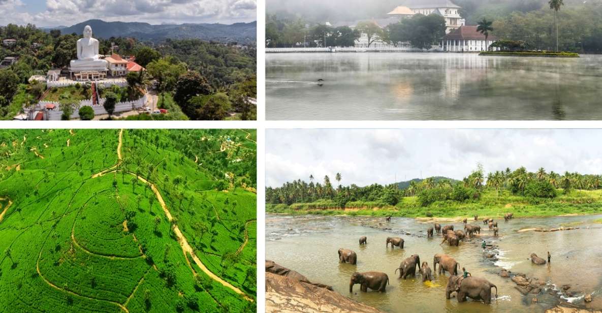 From West Coast: Kandy, Pinnawala, Botanical & Tea Gardens - Elephant Experience at Pinnawala