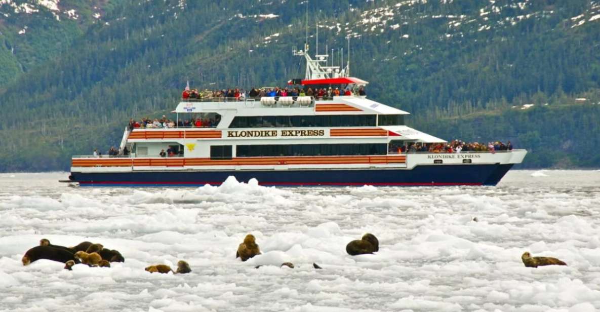 From Whittier/Anchorage: Prince William Sound Glacier Cruise - Experience Highlights