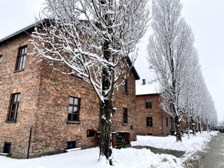 From Wrocław: Full-Day Auschwitz-Birkenau Guided Tour - Experience