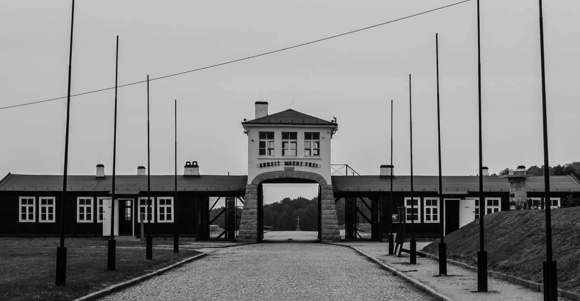 From Wrocław: Gross-Rosen and Książ Castle Private Tour - Tour Experience