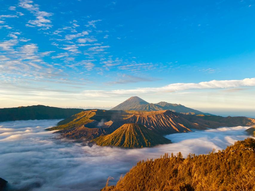 From Yogyakarta : 3-Day Tour to Mount Bromo and Ijen Crater - Tour Highlights