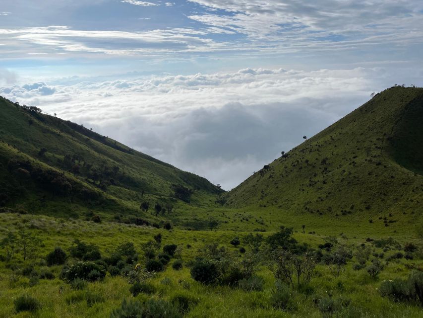 From Yogyakarta : Mt. Merbabu 2-Day Hiking And Camping - Highlights