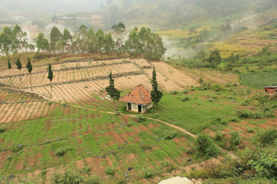 From Yogyakarta: The Beauty Of Dieng Guided Day Tour - Tour Experience