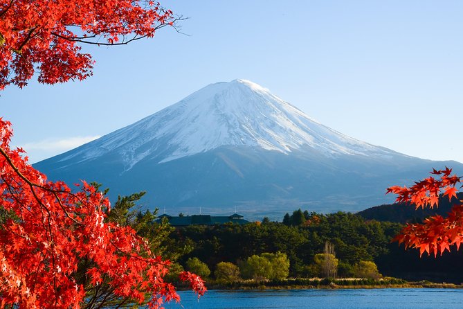 Fuji and Lake Kawaguchi Tour - Pickup and Drop-off Information