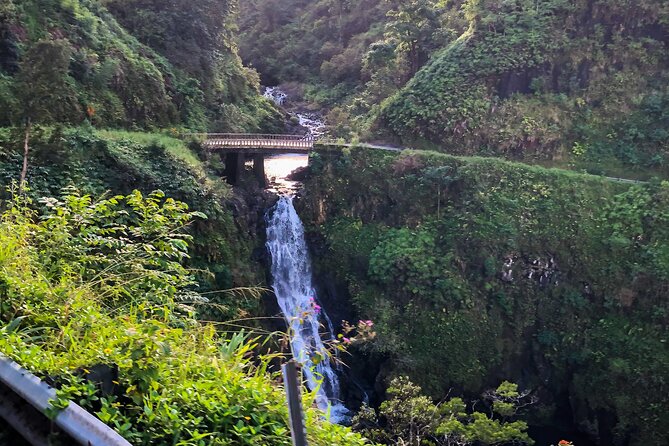Full-Circle "Reverse" - Luxury Road to Hana Tour From West Maui - Tour Experience