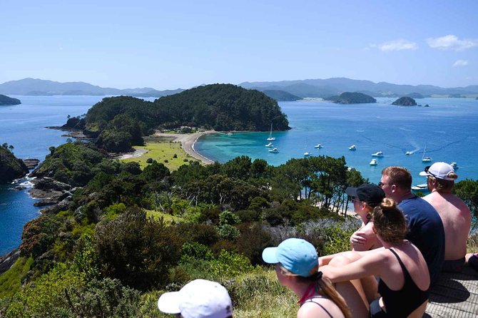 Full-Day Adventure Cruise With Lunch in Bay of Islands - Cruise Departure and Arrival