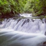 2 full day adventure in corcovado national park from drake bay Full-Day Adventure in Corcovado National Park From Drake Bay