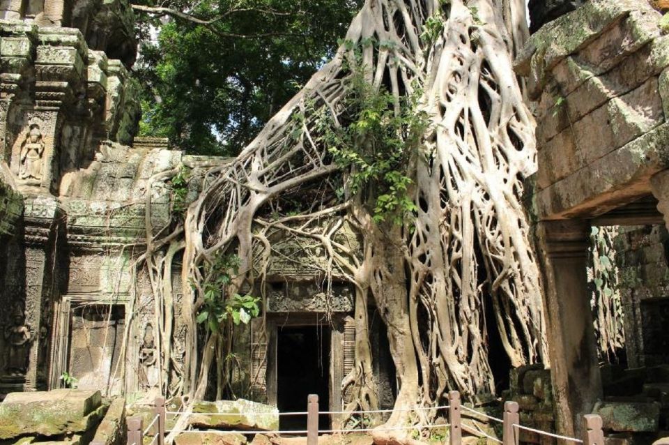 Full-Day Angkor Wat Sunrise Private Tour by Tuk Tuk - Tour Highlights
