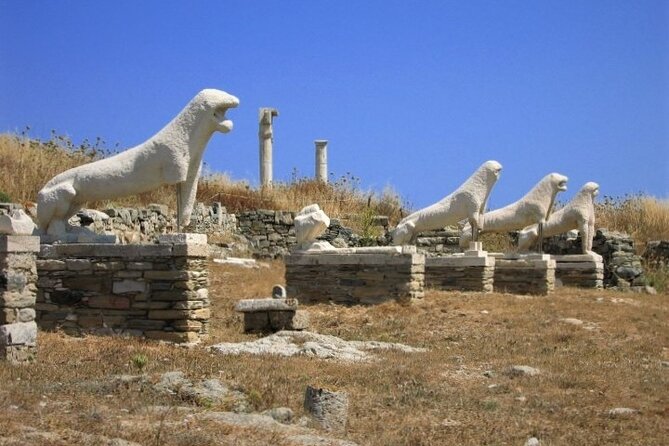Full Day Cruise to Delos and Mykonos Islands From Paros - Inclusions