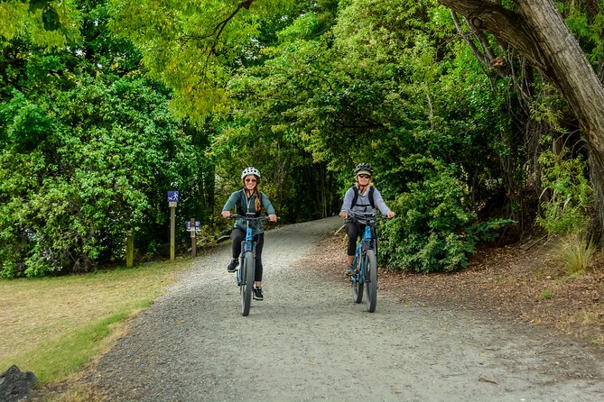 Full-Day E-Mountain Bike Rental in Queenstown - Safety Guidelines and Requirements