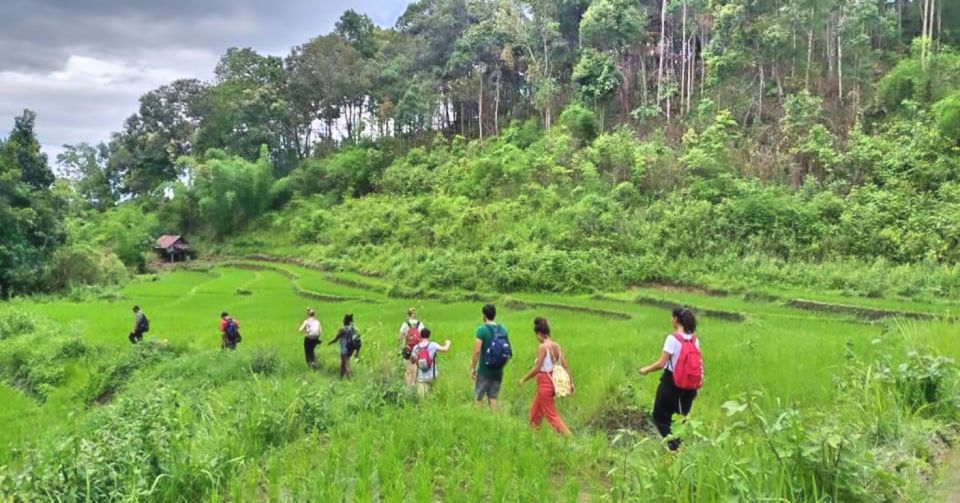 Full Day Forest Trekking - Experience Highlights of the Trek