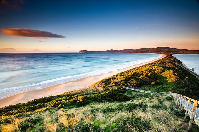 Full-Day Guided Bruny Island Tour From Hobart - Ferry Transportation