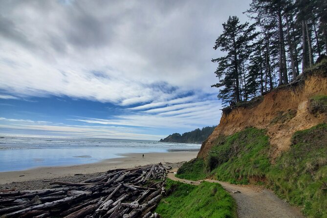 Full-Day Guided Oregon Coast Tour From Portland - Traveler Reviews