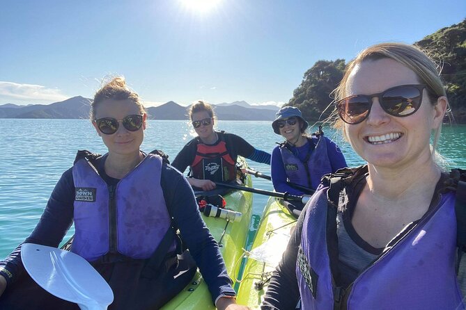Full-Day Guided Sea Kayak Trip From Picton - Customer Feedback