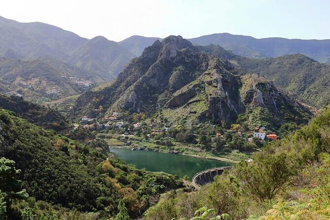 Full Day Guided Tour to La Gomera From Tenerife - Logistics and Pricing Details