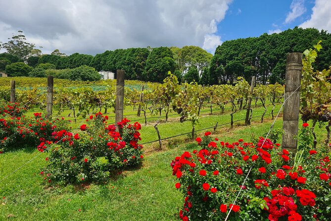 Full-Day Guided Wine Tour in Mt Tamborine From Gold Coast - Inclusions and Exclusions