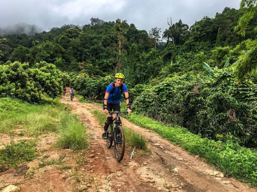 Full Day Hike & Bike at Doi Suthep Mountain National Park - Experience Highlights