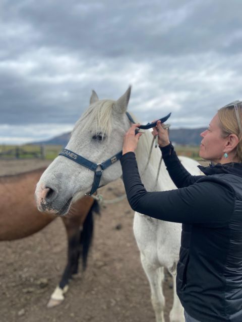 Full Day Horseback Riding Trail Ride to the Mountain - Horse Connection Experience at Los Alazanes Barn