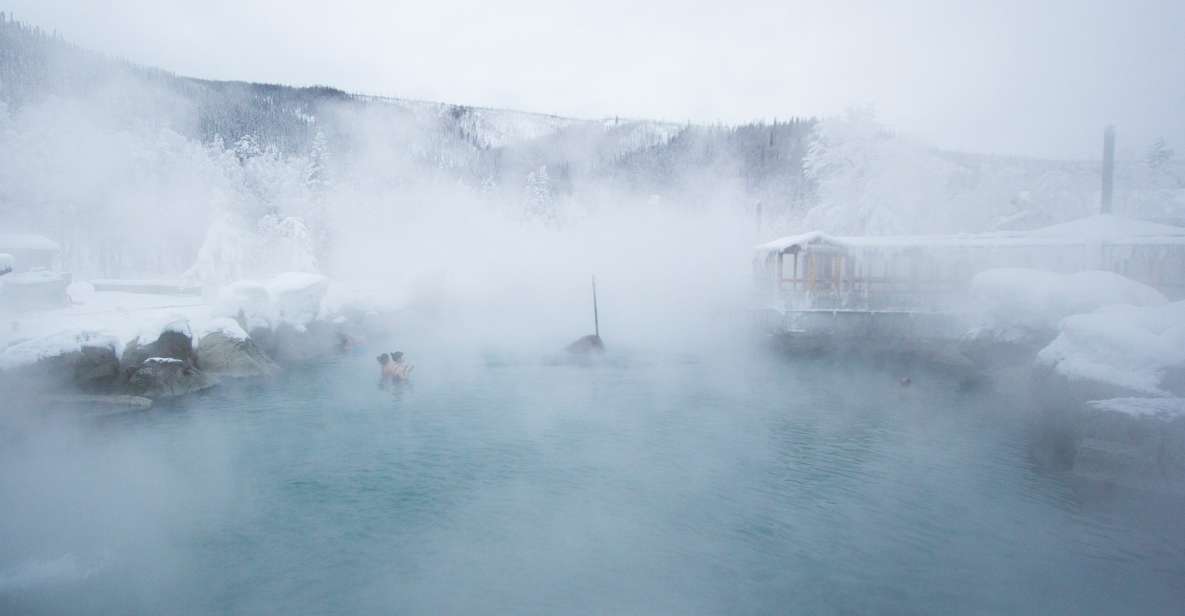Full Day Ice Museum and Chena Hot Springs Tour - Experience Highlights