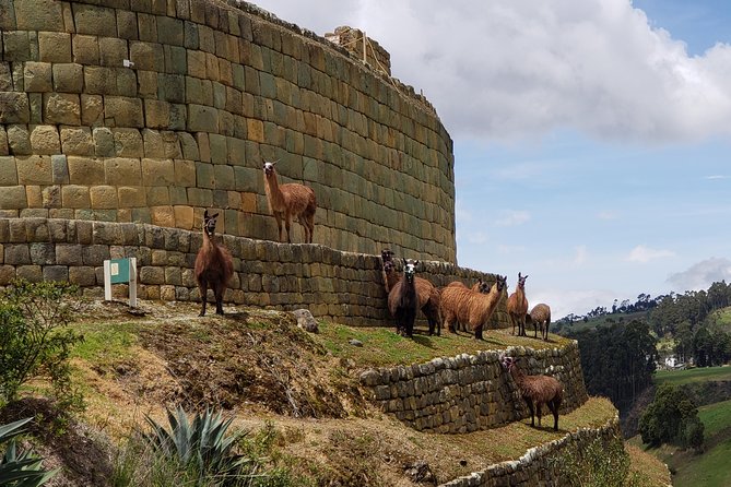 Full-Day Ingapirca, Gualaceo & Chordeleg From Cuenca - Pricing and Inclusions Details