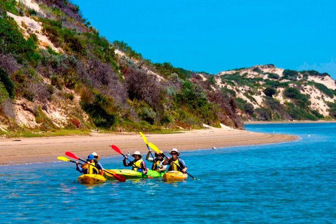 Full Day Kayaking Tour in Coorong National Park - Cancellation Policy