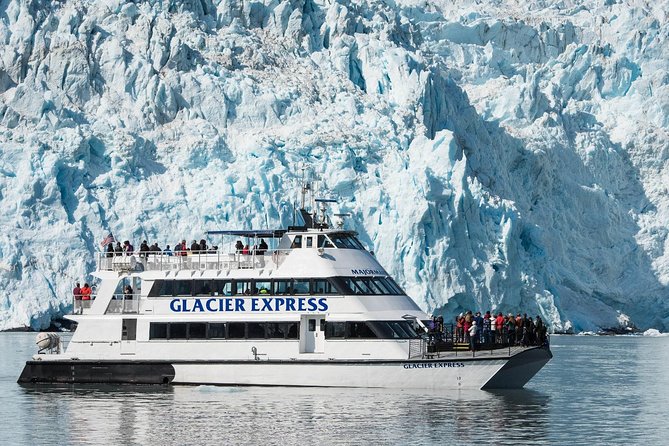 Full-Day Kenai Fjords National Park Cruise - Traveler Experience