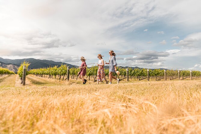 Full-Day Marlborough Wine Tour From Blenheim - Cancellation Policy Overview