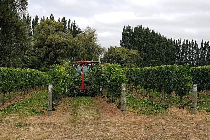 Full-Day Marlborough Wine Tour Including Wine Tasting - Tour Inclusions and Activities