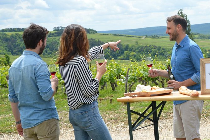 Full-Day North Burgundy and Chablis Wine Tasting Tour From Paris - Tour Experience and Highlights