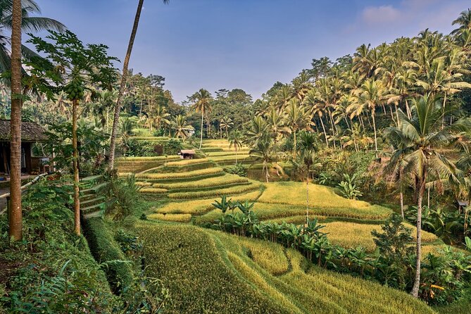 Full Day Private Guided Tour to Bali - Itinerary Overview